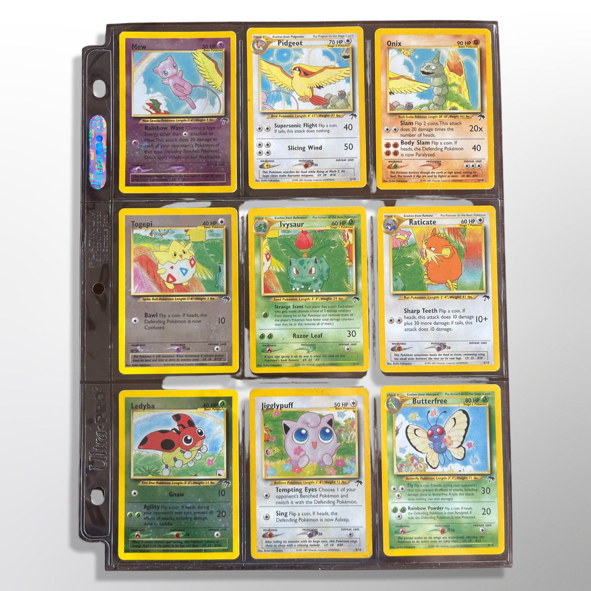 Southern 2024 Islands Pokémon set