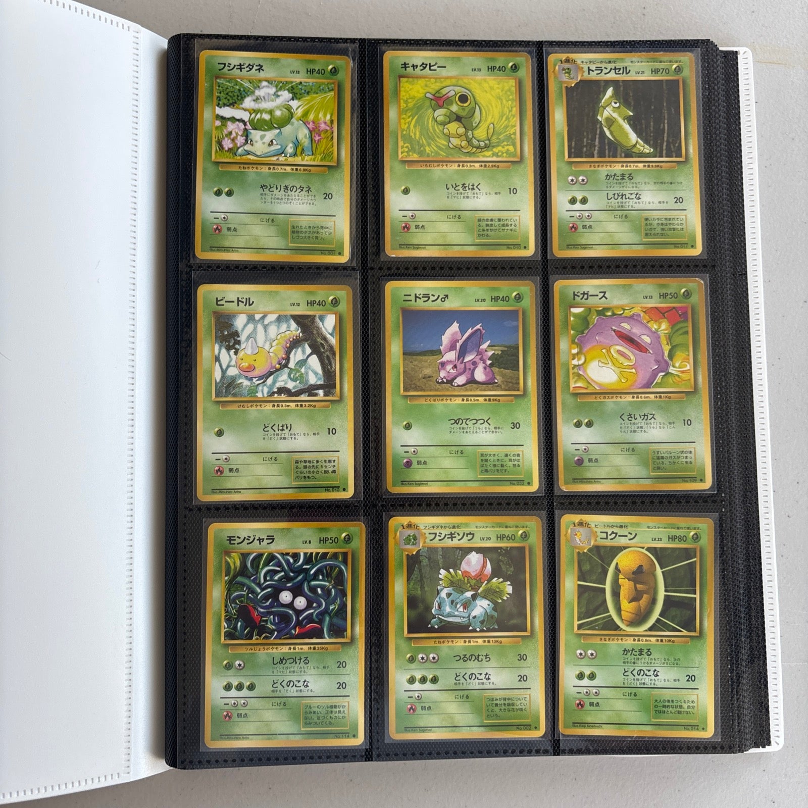 Japanese Expansion Pack Complete Set (102/102) 1996| TradingCardSets.Com Japanese Expansion Pack Complete Set (102/102) 1996| TradingCardSets.Com