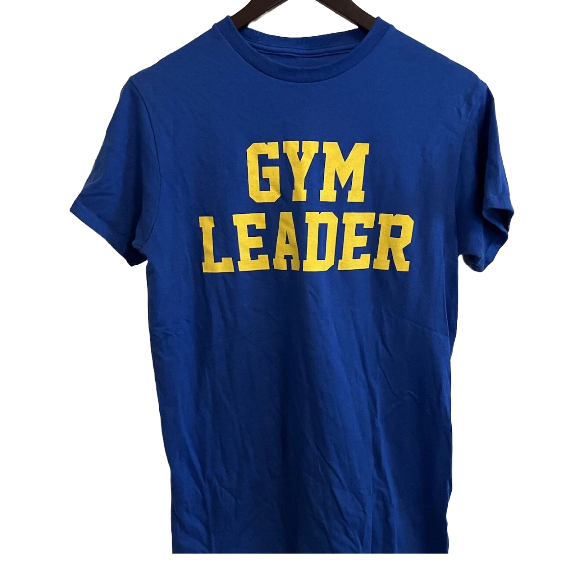 Pokemon Gym Leader Blue Shirt Adult Small|