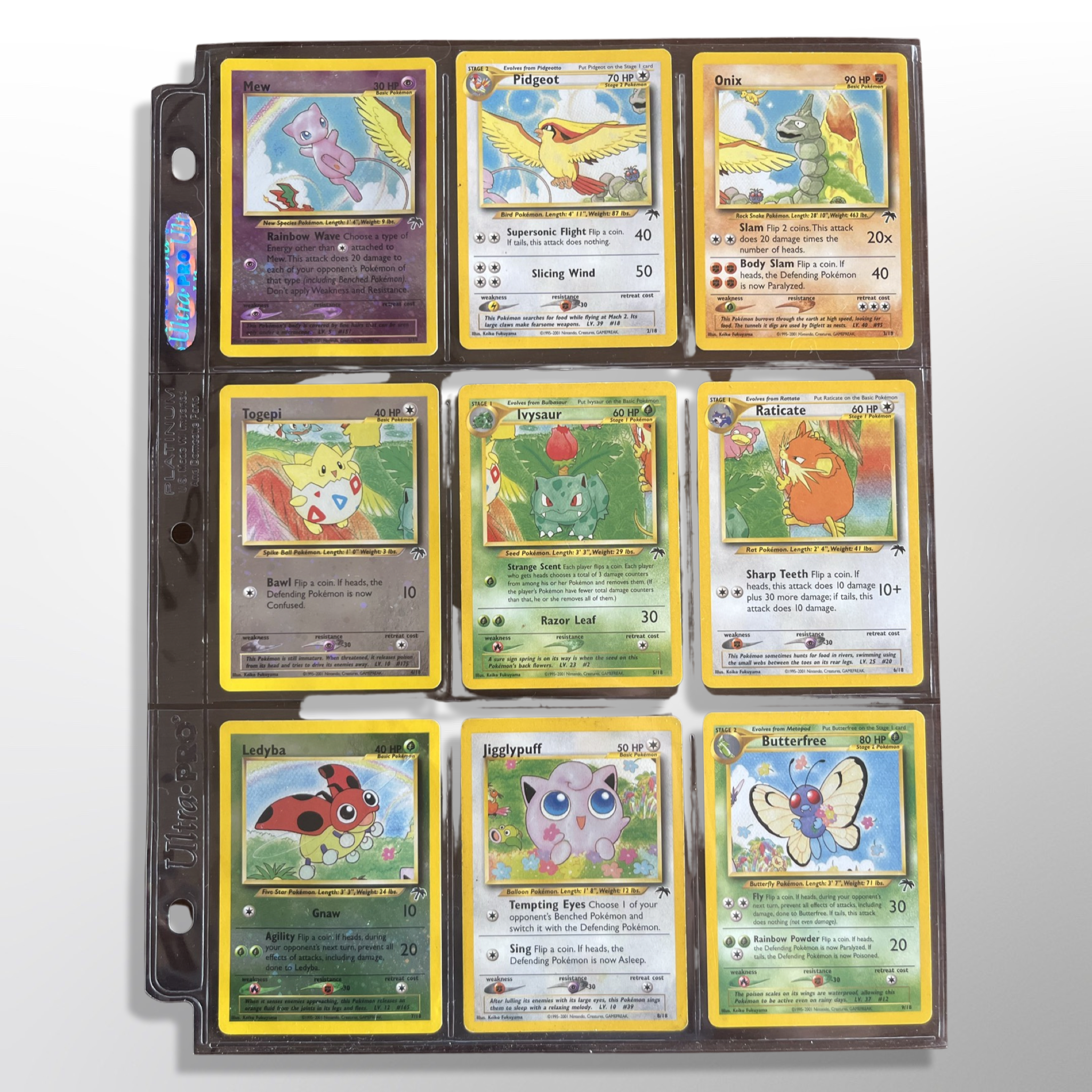 Pokmon Southern Islands Collection Complete Master Set (18/18) 2001 Pokmon Southern Islands Collection Complete Master Set (18/18) 2001