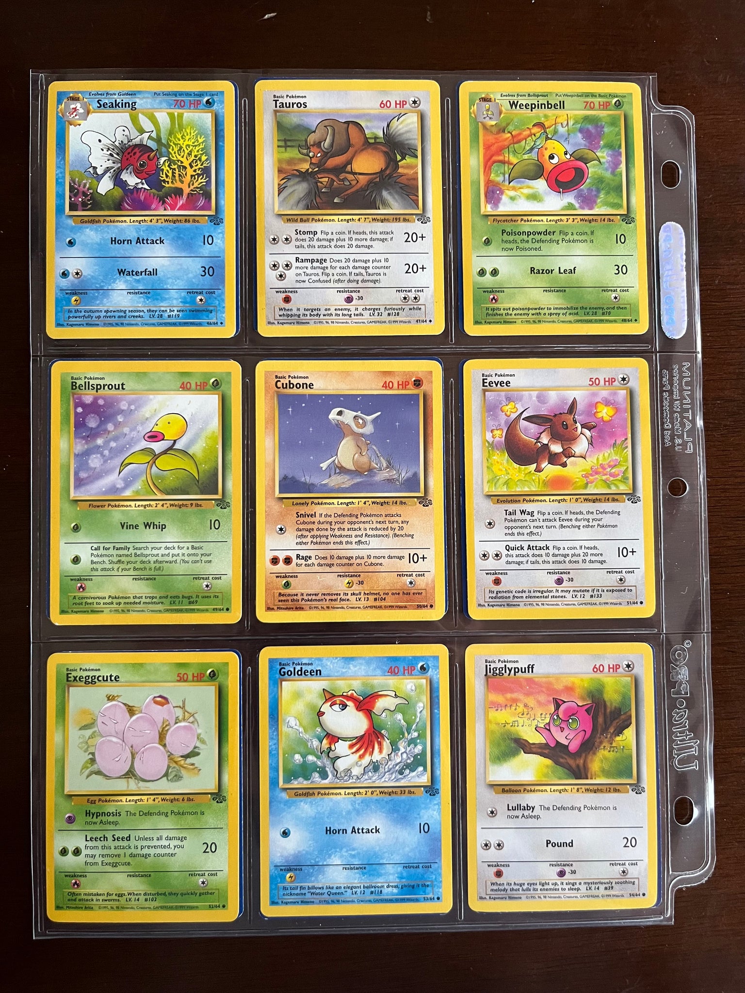 Pokemon Jungle Eevee Card Pokmon Jungle Set 1st Edition Eevee Card #51/64 - Near Mint Condition Pokemon Cards Pokemon Jungle Eevee Card Pokmon Jungle Set 1st Edition Eevee Card #51/64 - Near Mint Condition Pokemon Cards