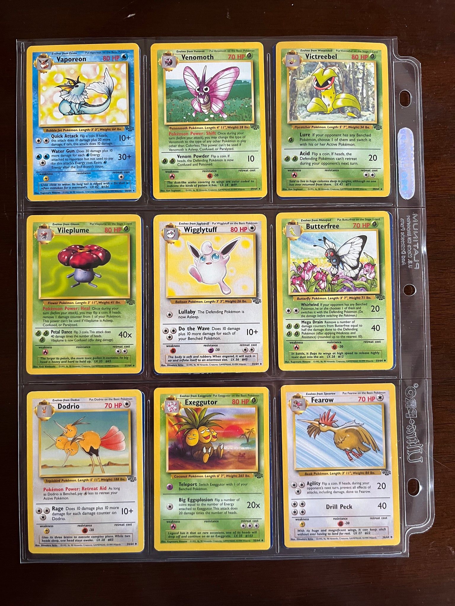 Jungle Complete Set (64/64) – 1999