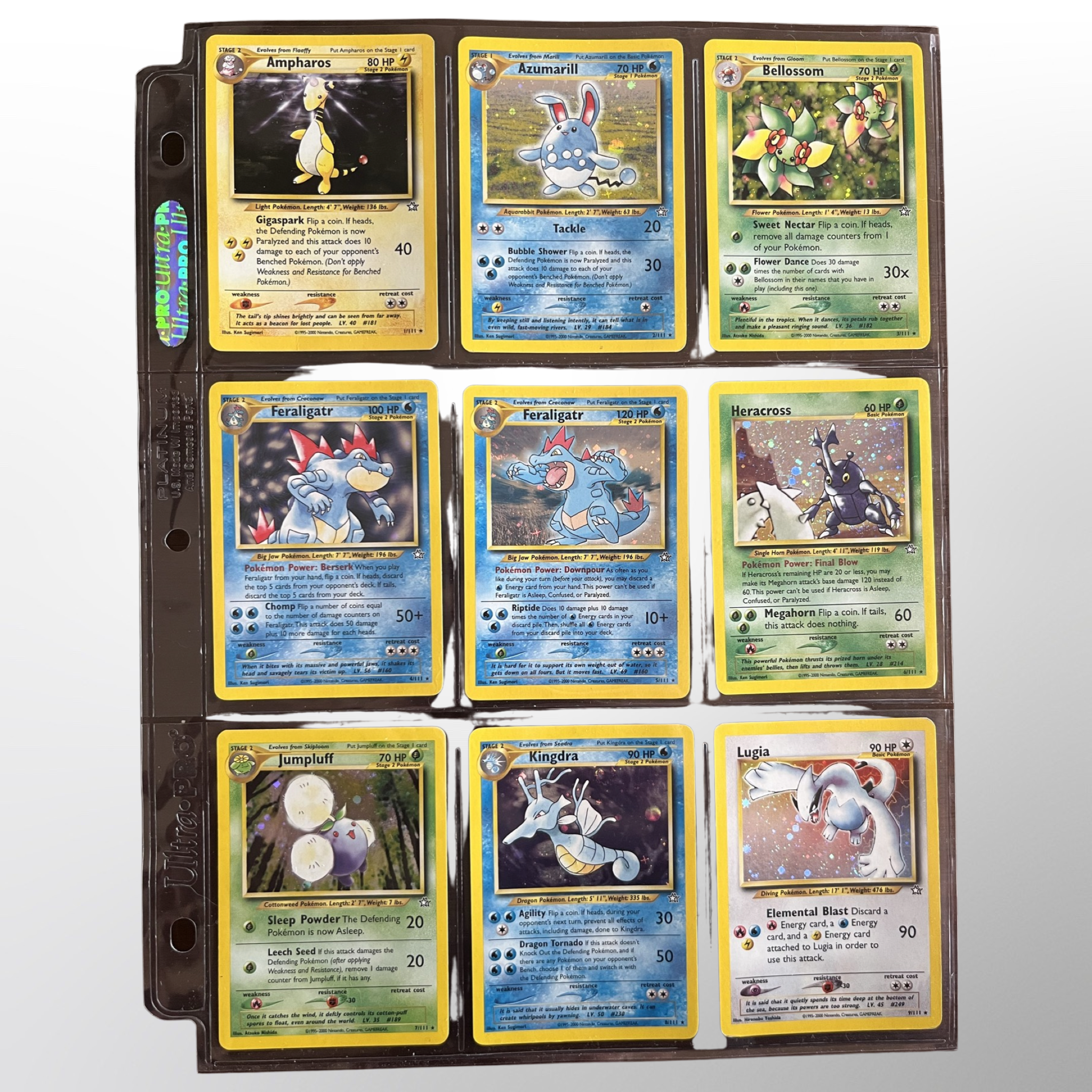pokemon first edition cards Pokemon - Machamp (59/108) - XY Evolutions - Reverse Holo: Buy Online at  Best Price in UAE