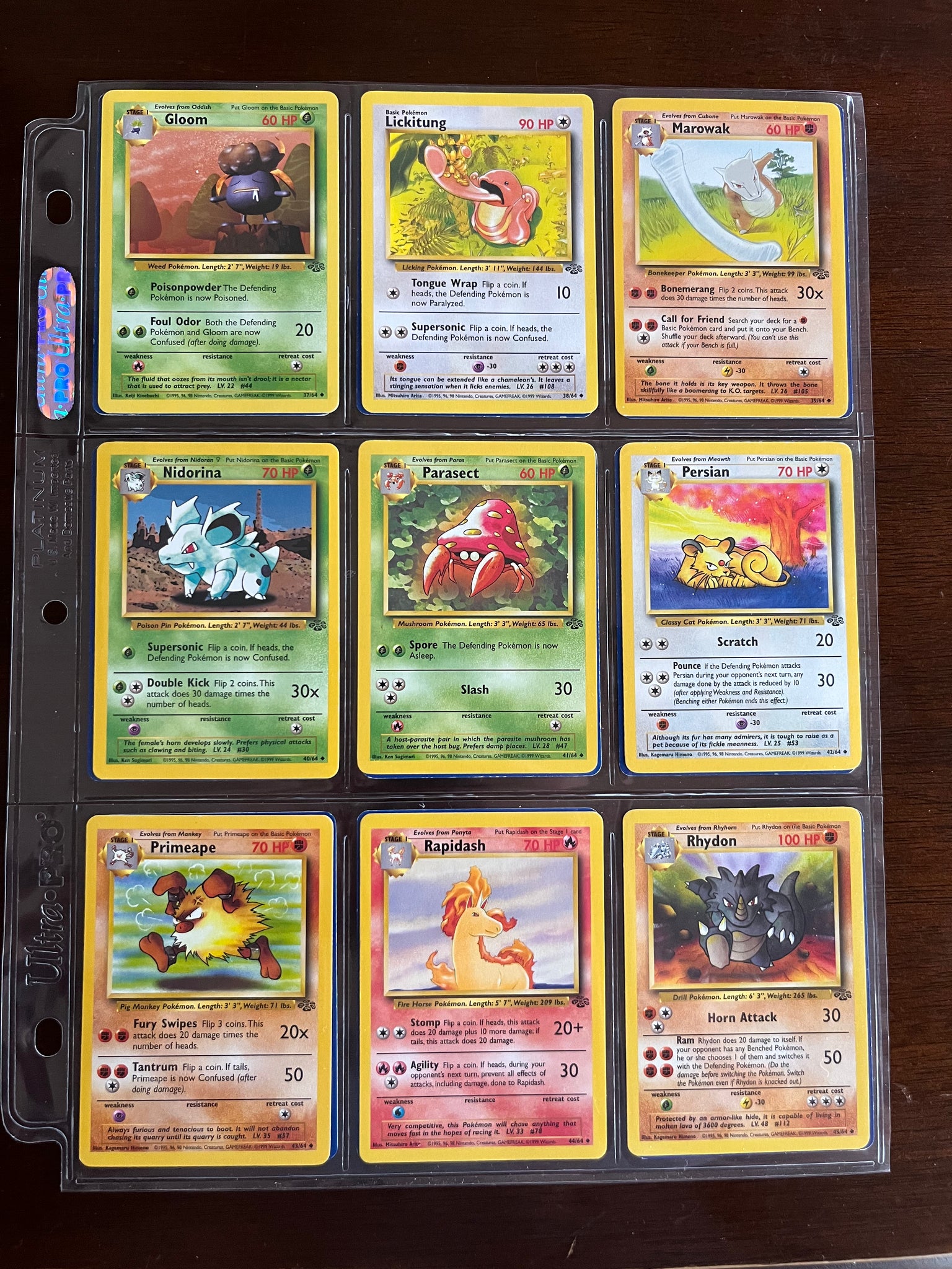Jungle Complete Set (64/64) 1999| TradingCardSets.Com Jungle Complete Set (64/64) 1999| TradingCardSets.Com